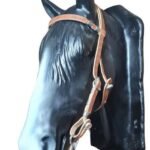 CABEÇADA BOMBA DE INOX COM PESCOÇEIRA DUMONT