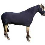 CAPA LEG R2 ADULTO/MORFOLOGIA