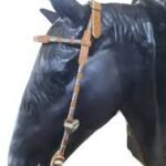 CABEÇADA COM FLORÃO CORAÇÃO DUMONT