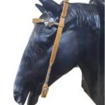 CABEÇADA COM FLORÃO TREVO DUMONT