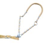 RABICHO DUMONT COM FLORAO CORACAO